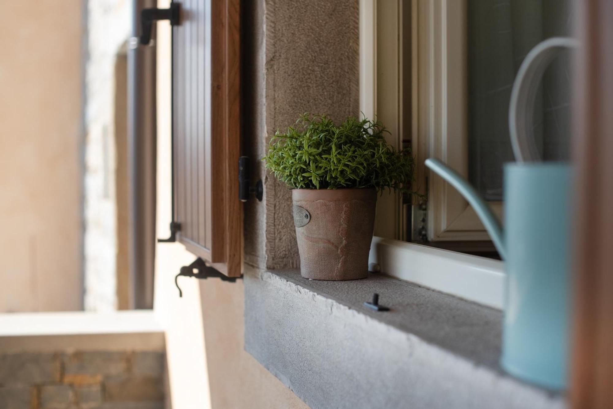 Ferienwohnung Truffle House Karlic Buzet Exterior foto